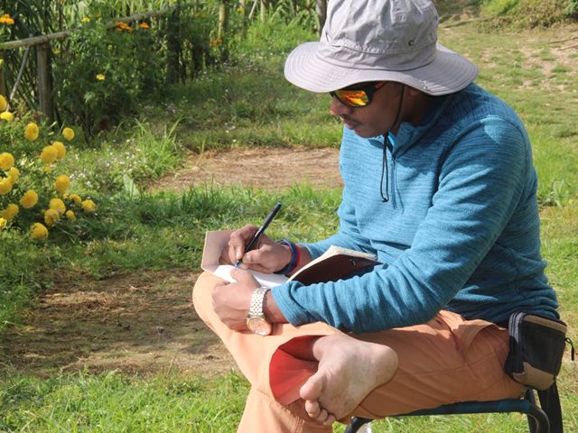 Stories & Experience